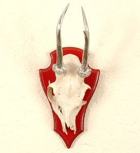 Readhead