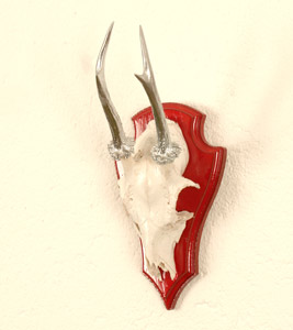 Readhead